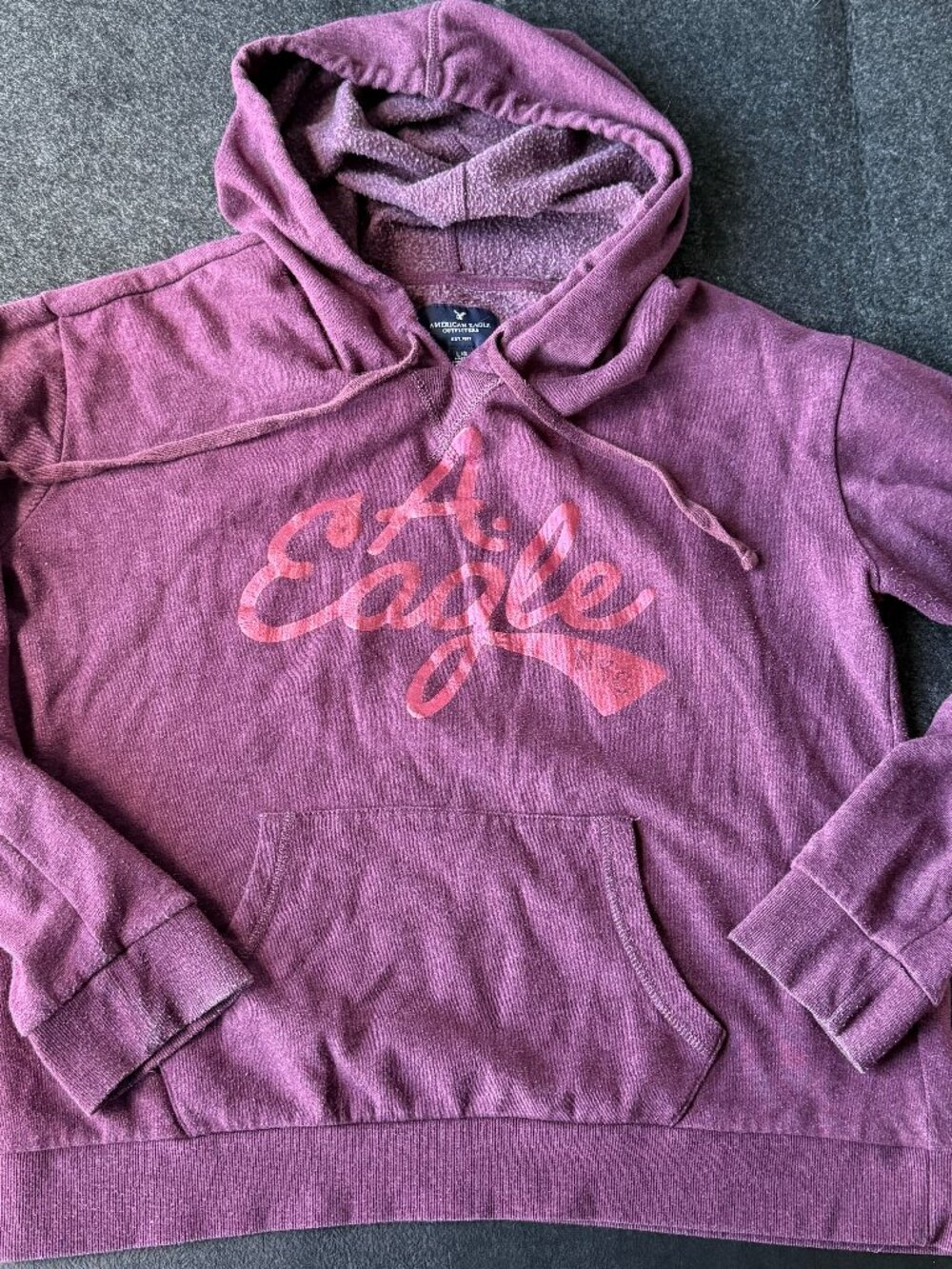 American Eagle Pink Hoodie Metallic Logo Womens Large